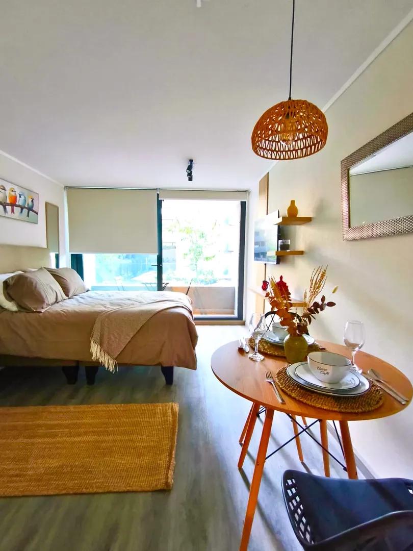 Studio entièrement équipé dans le meilleur quartier de Ñuñoa